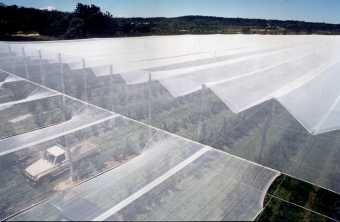 Fabrics suited to Crop Protection & Enhancement