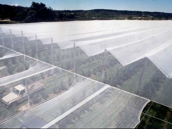 Crop Protection & Enhancement