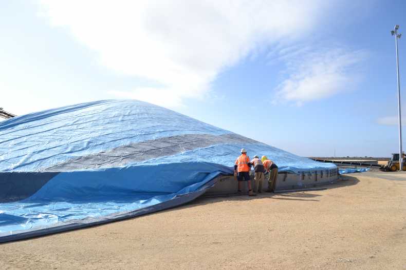 Growing Sustainably: A New Era in Grain Harvest and Storage for Australian Agriculture