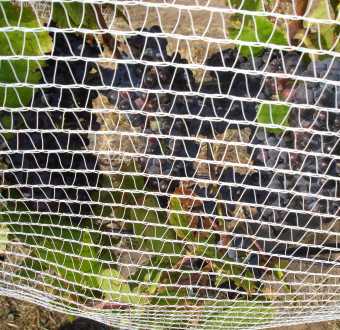 Fabrics suited to Fruit Protection Net