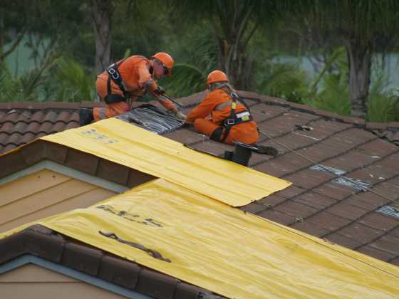 Government / Military