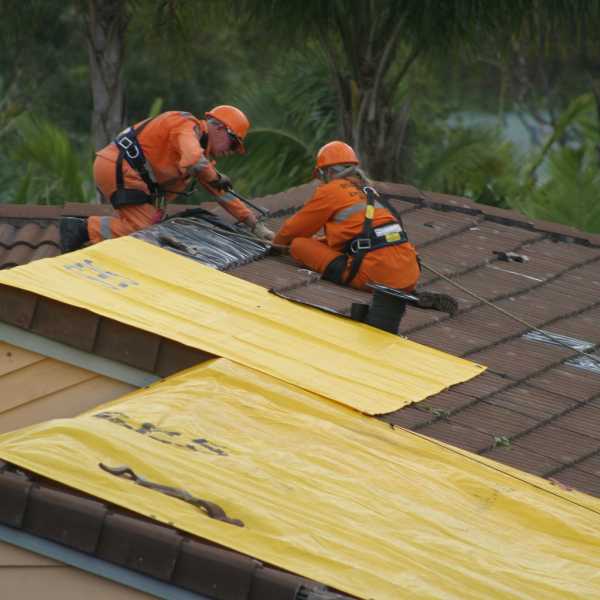 Government / Military