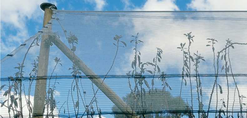 Netting Measuring Tips 1