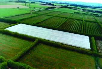 Fabrics suited to Hail Protection Netting