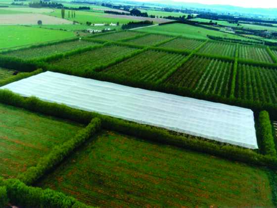 Hail Protection Netting