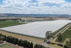 Australian Government Commits $35 Million to Horticultural Netting