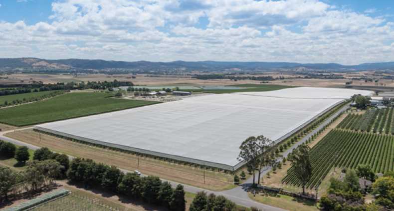 Australian Government Commits $35 Million to Horticultural Netting