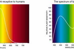 P.A.R. (Photo-synthetically Active Radiation)