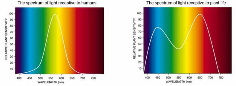 P.A.R. (Photo-synthetically Active Radiation)