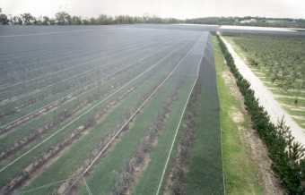 Fabrics suited to Pest Protection