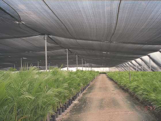 Commercial Knitted Fabrics