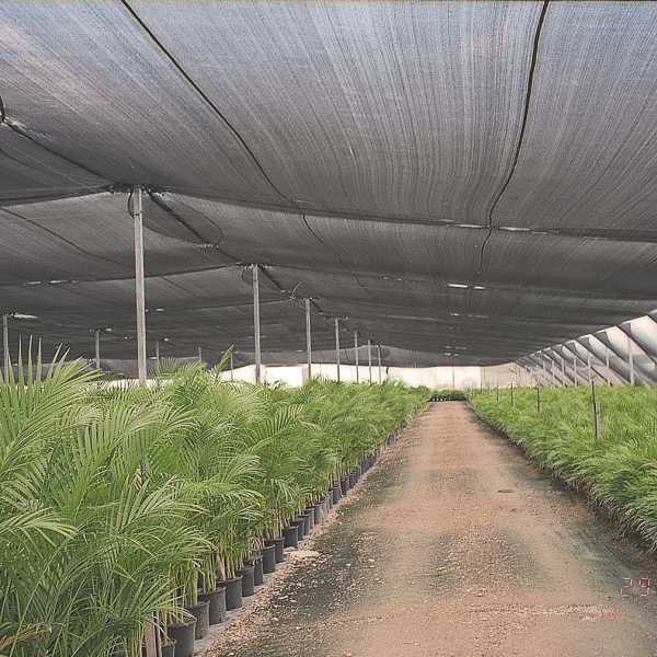 Commercial Knitted Fabrics