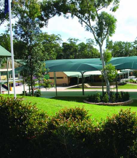 Oeko-Tex Standard 100 and Greenguard certification