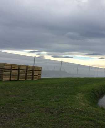 Fabrics suited to Side Net