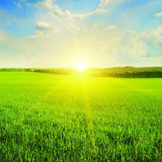 Protect with UVR block and protection factor ratings